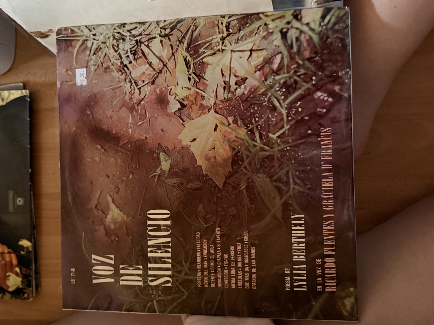 Voz de Silencio (poesía)